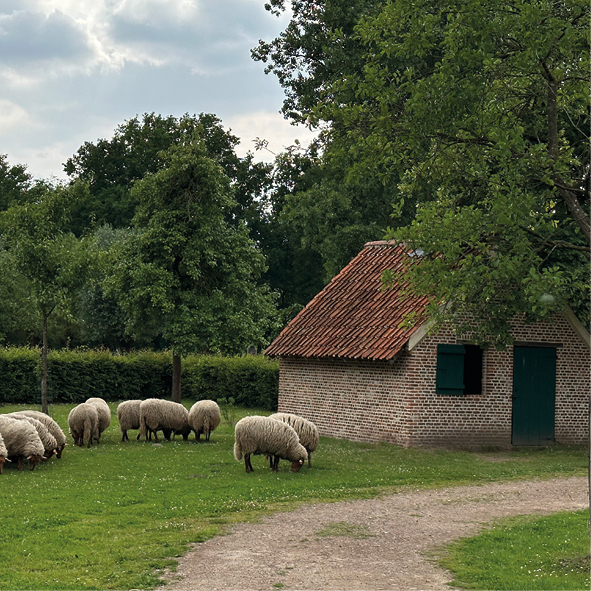 Bilder Februar10