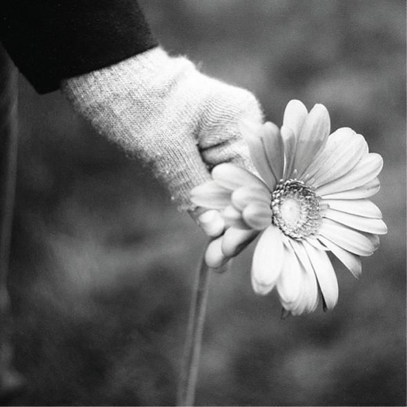Bilder November10 (c) freepik