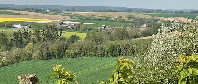 Frühlingslandschaft