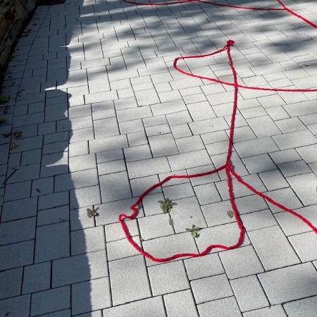 Roter Faden (c) Redaktion privat Roter Faden