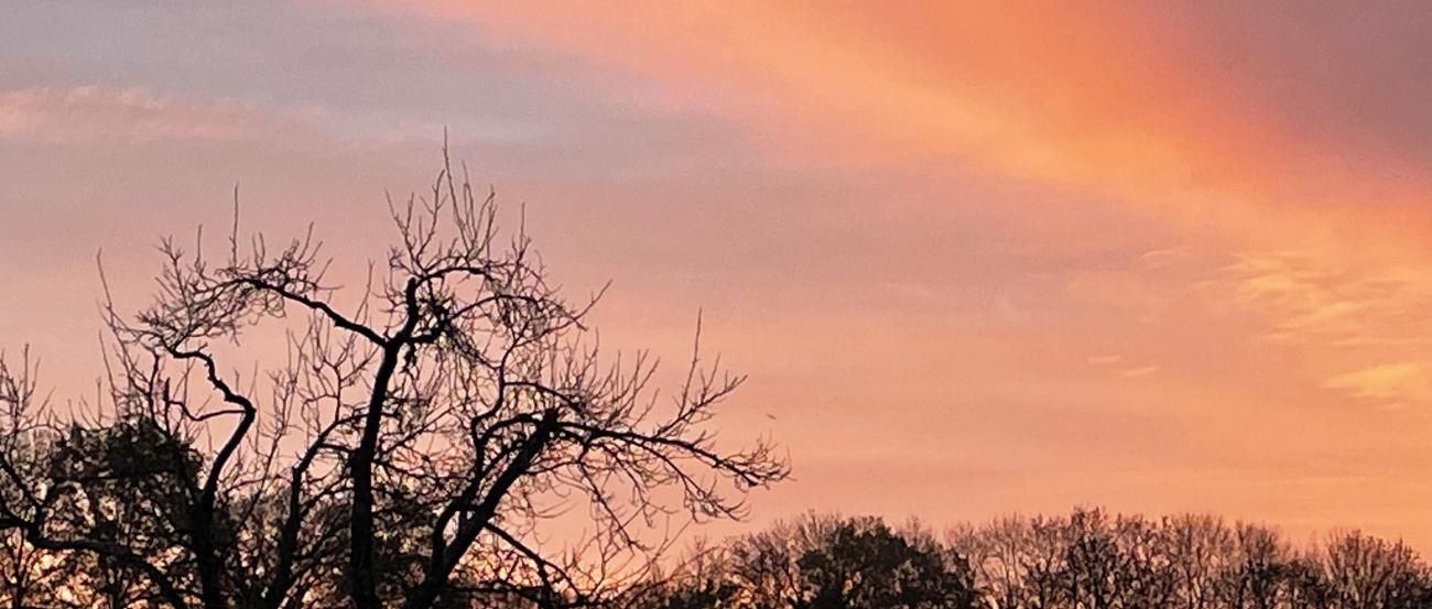 rotgefärbter Winterhimmel IMG_2532