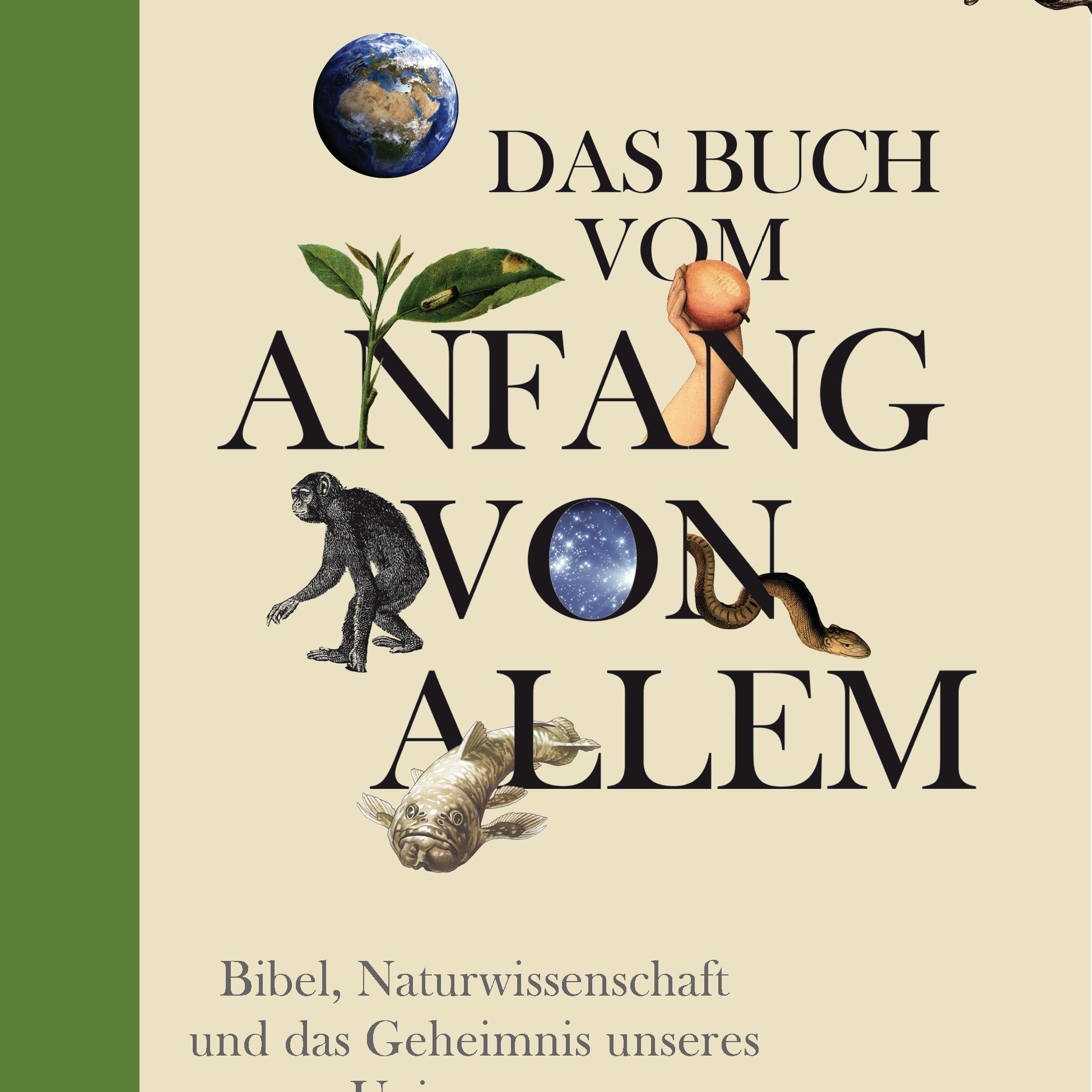 Das Buch vom Anfang von allem - Cover